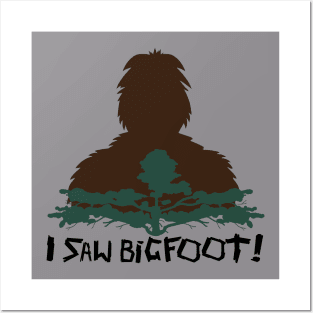 I Saw Bigfoot! Posters and Art